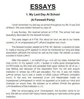 School essay