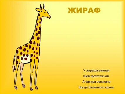 Жираф стих