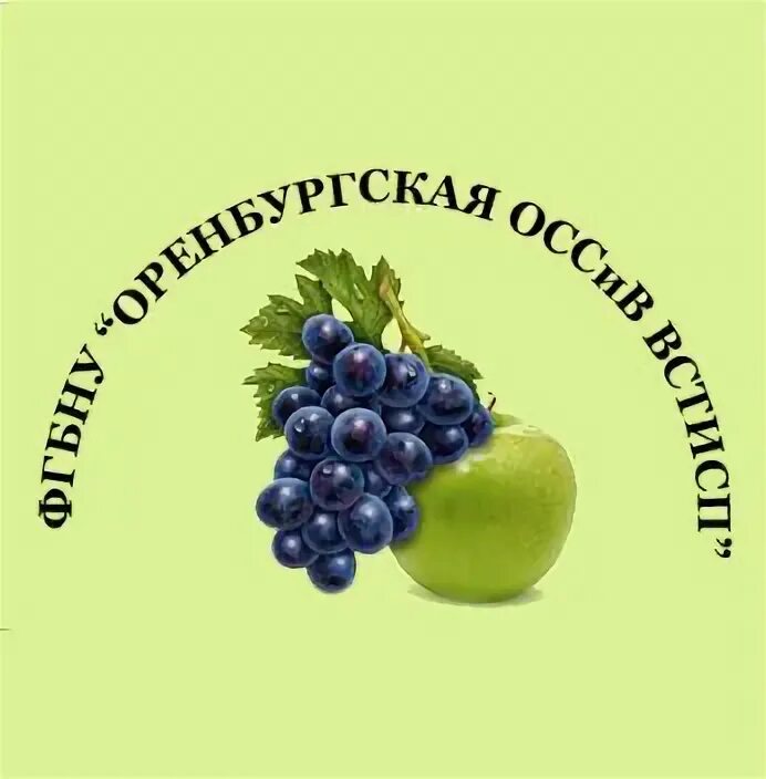 Сайт института садоводства и виноградарства краснодар. Оренбургская опытная станция садоводства. Оренбургская опытная станция садоводства и виноградарства. Оренбург станция виноградарства. Логотип станция виноградарства.