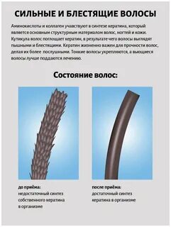 Что такое коллаген для чего он нужен