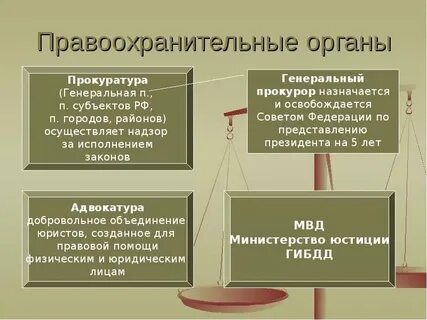 Правительство относится к правоохранительным органам