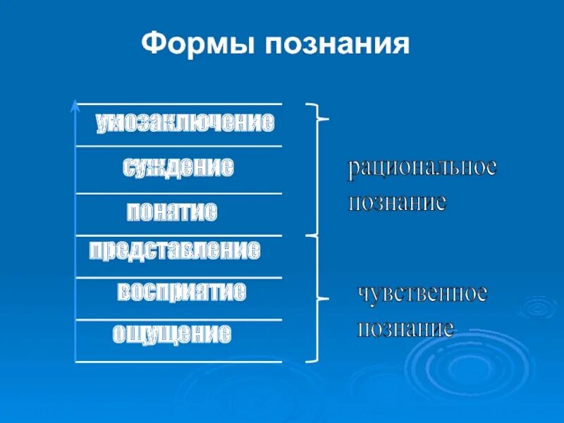 Умозаключение понятие представление суждение. Умозаключение форма познания. Умозаключение понятие представление восприятие суждение. Ощущение представление суждение восприятие форма познания.