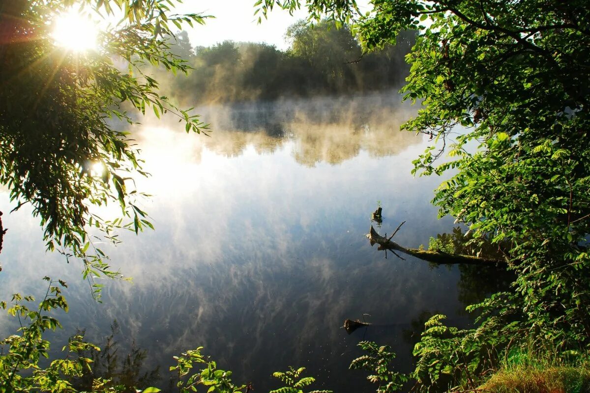 Туман над озером. Пруд утром. Озеро шамсутдин бирск. Утро на озере. Пруд утром.