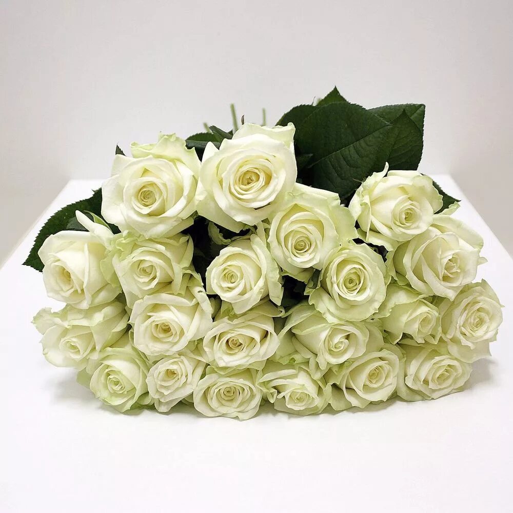 Купить розы в гомеле. Букет "25 белых роз" Аваланж.
