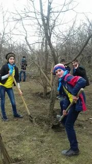 Погода араблинское