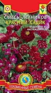 Красный садик 4