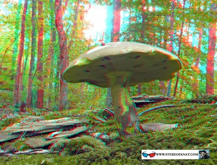3d found