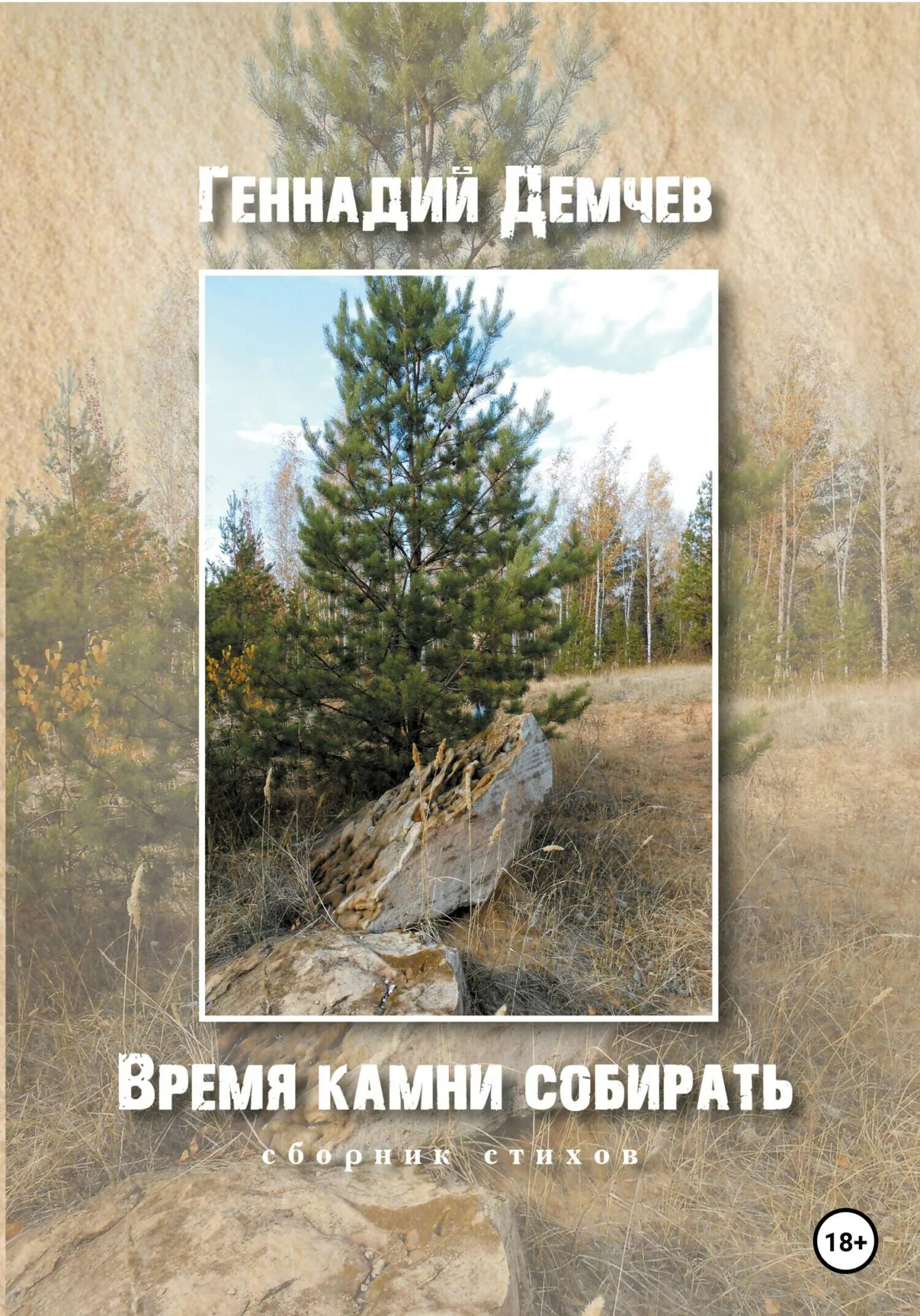 Время собирать камни читать полностью. Время собирать камни автор книги. время собирать камни и время. время собирать камни мем. время разбрасывать камни и время собирать камни.