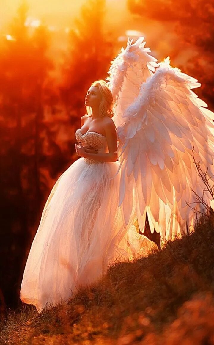 Фото красивых ангелов. Девушка с крыльями. Красивый ангел. Девушка - ангел. Девушка с крыльями ангела.