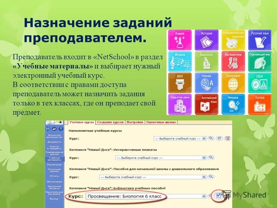 Назначение заданий. Нетскул. Нетскул 175 Зеленогорск. Нетскул 176. Нетскул школа 12