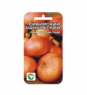Лук сибирский гигант