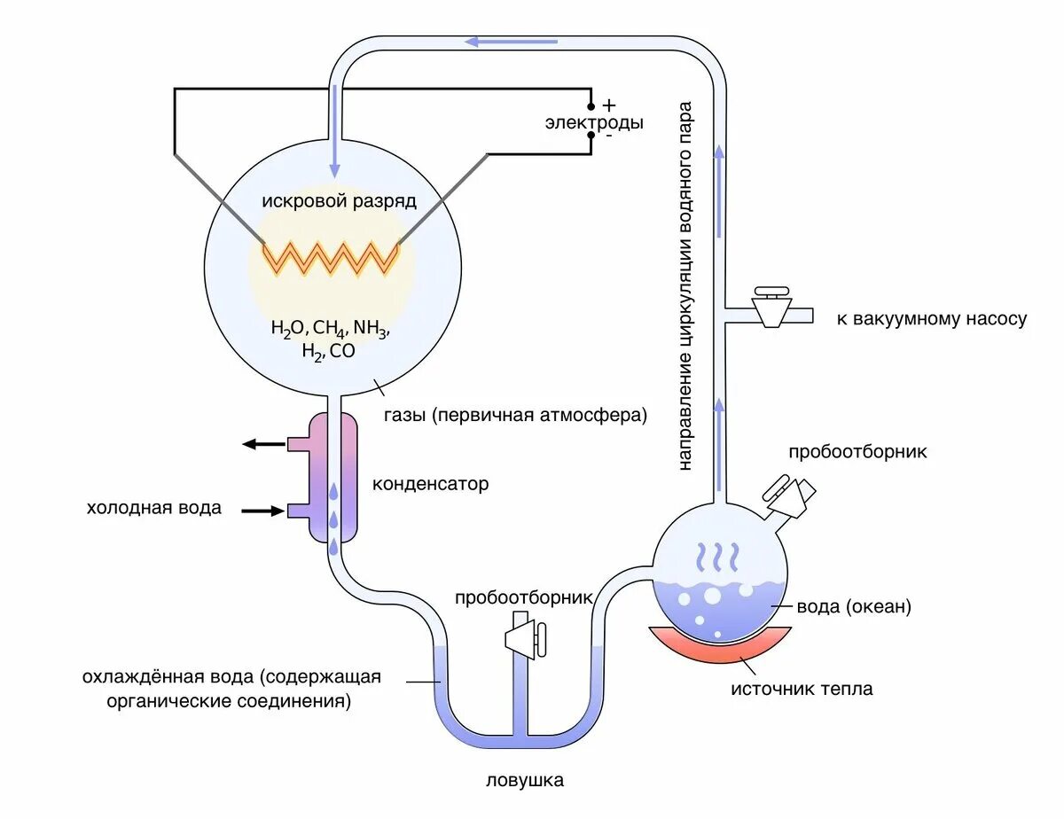 Опыты миллера доказали. Схема опыта Миллера. Опыт Стенли Миллера биология. Эксперимент Стэнли Миллера. Эксперимент Стэнли Миллера биология.