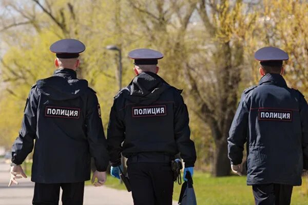 Поиск полиции