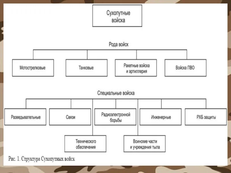 Рода св. Состав сухопутных войск РФ схема. Организационная структура сухопутных войск РФ. Организационная структура сухопутных воиск РФ. Структура сухопутных войск РФ таблица.