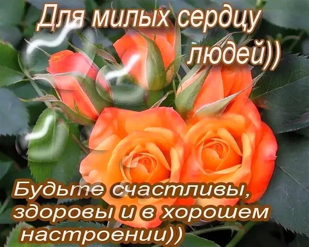 Главное чтобы родные и близкие были здоровы. Будьте все счастливы родные. Будьте все счастливы родные. Пусть все будут счастливы. Будьте все счастливы родные.