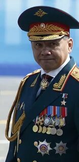Медали шойгу