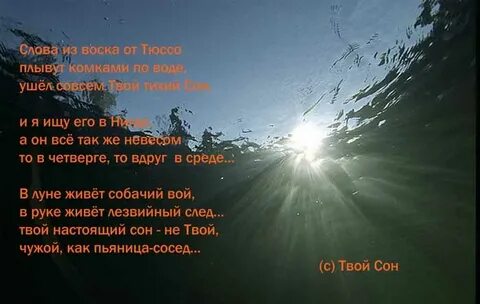 Песня твой сон текст