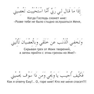 Taweel al shawq