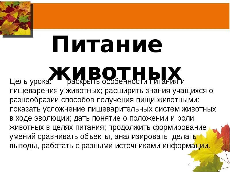 Сообщение о питании животных. Вывод о способах питания животных. Разнообразие пищи и способы питания животных. Кормление животных сообщение. Питание животных кратко