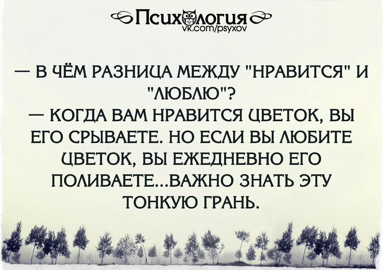 Нравится и любить в чем разница. Разница между Нравится и люблю. В чём разница между Нравится и люблю. Когда цветок Нравится его срывают а когда любят.