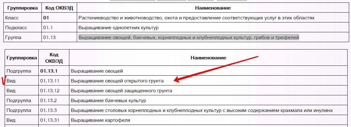 Вид экономической деятельности 2019. Коды основного вида деятельности для ип 2025. коды видов деятельности для ип 2025. оквэд 2025 с расшифровкой по видам деятельности для ип. коды оквэд 2025 с расшифровкой по видам деятельности для ип.