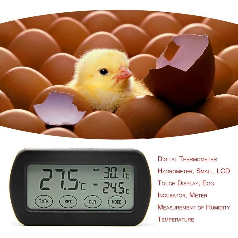 Термометр на яйцо для инкубатора. Термометр для измерения температуры яйца в инкубаторе. Гигрометр для инкубатора. Термометр гигрометр для инкубатора. Датчик на яйцо в инкубаторе