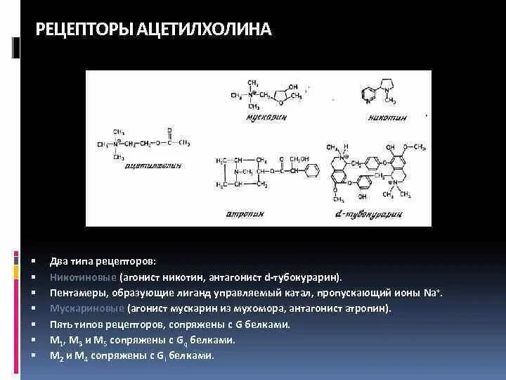 Строение рецептора ацетилхолина. Структура мускаринового рецептора. Рецепторы ацетилхолина относятся к типу. Строение рецептора ацетилхолина. Мускариновые ацетилхолиновые рецепторы.