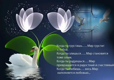 Добрый день умные пожелания