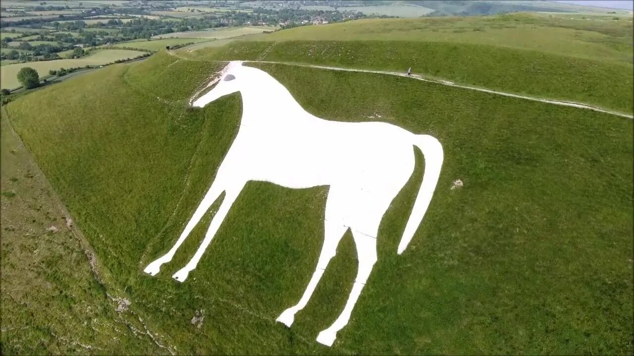 Где находится белая лошадь. Westbury white horse. лошадь в уэстбери. белая лошадь уилтшир. уэстберийская белая лошадь.