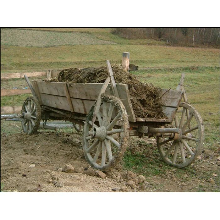 телега деревенская старая. грязная телега. тачка. ржавая телега. тачка ржавая строительная.