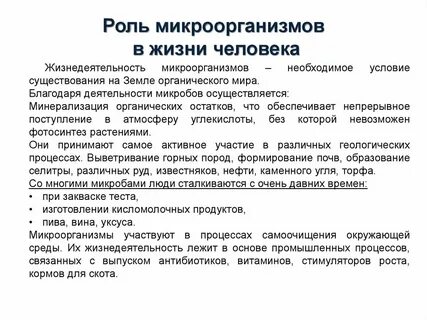 Жизнь человека неразрывно связана с внешней средой