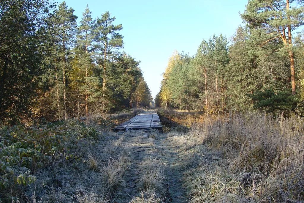 Бакшеево московская область