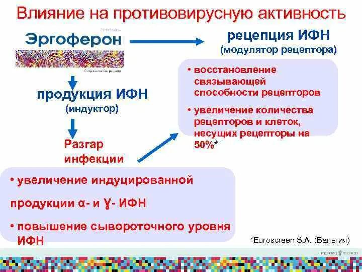 Противовирусная активность