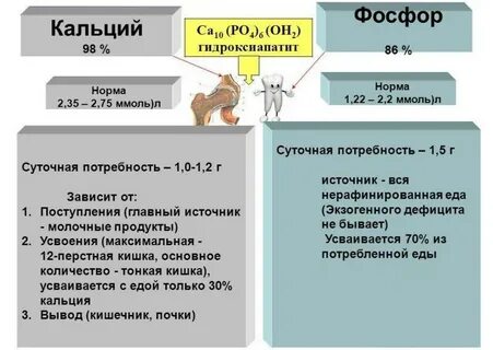 Соотношение кальция фосфора магния