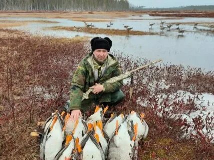 Хантингсиб новосибирск