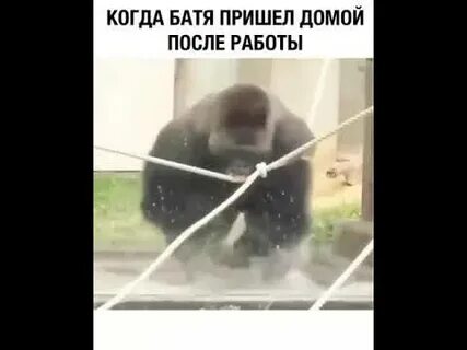 Песня батя я пришел