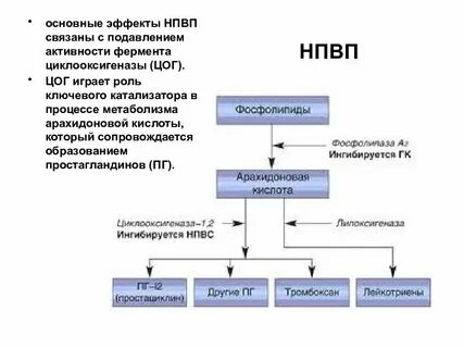 Основные эффекты нпвп