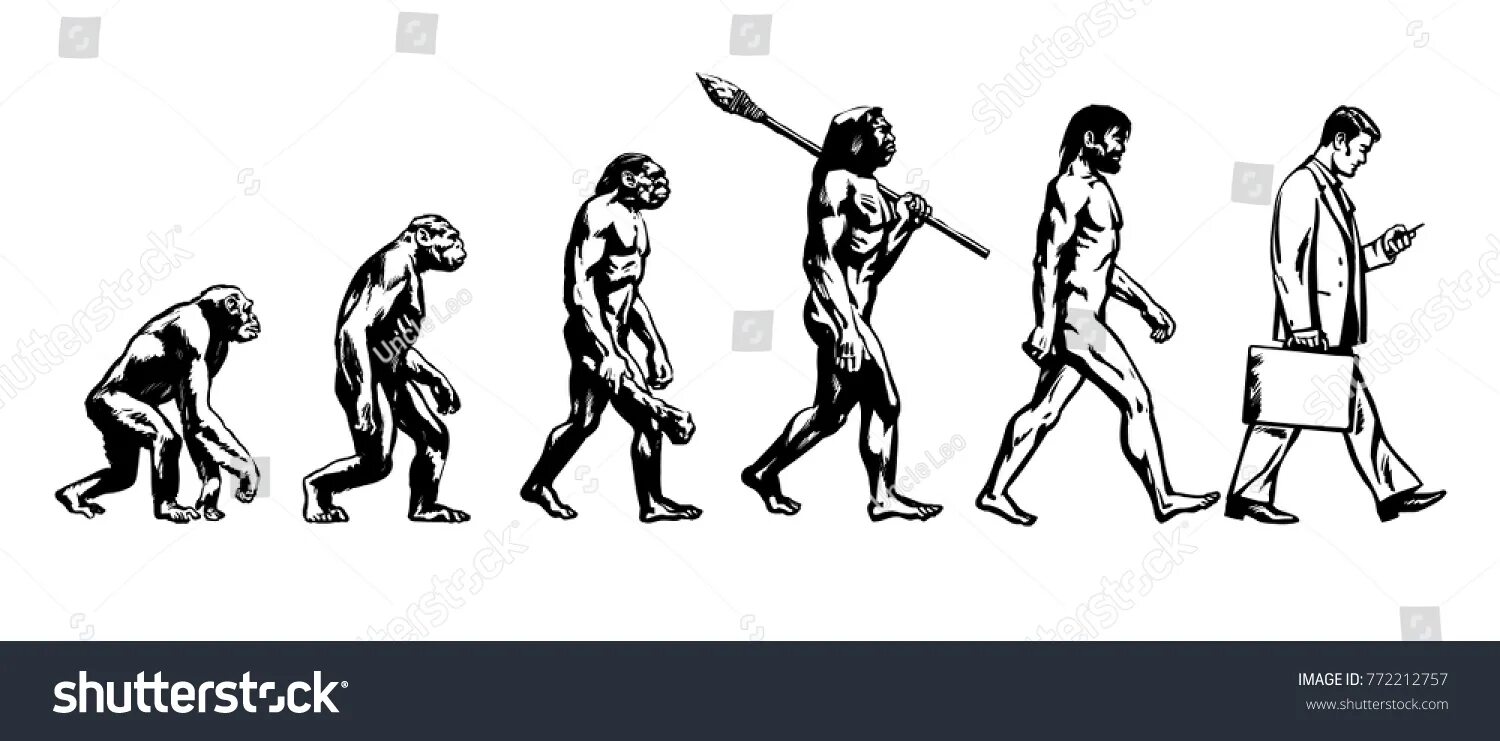 Evolution human to robot png. Evolution wiki. Evolution wiki. Эволюция человека. Evolution wiki.