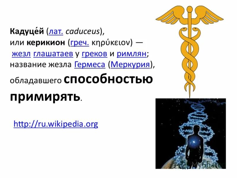 ковровый бестиарий. средневековая гадюка. колено даново герб. тест африка презентация. какое животное изображено на керикионе.