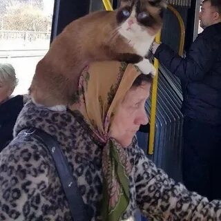 Довольно нелепо