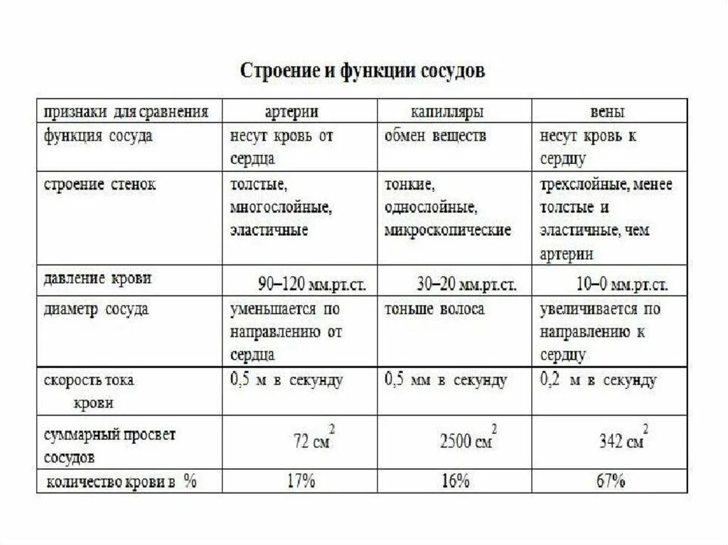 Сравнительная характеристика кровеносных сосудов таблица. Строение сосудов таблица. Строение и функции сосудов таблица. Строение и функции кровеносных сосудов таблица.