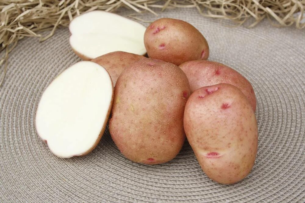 Картофель красавчик. Картофель Лорх. Семенной картофель Лорх. Картофель семенной СЕДЕК. Картофель семенной Гранд супер элита.