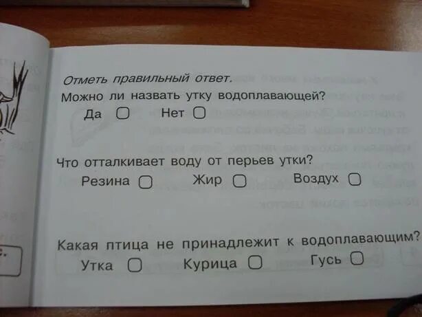 Блицконтроль скорости чтения и понимания текста. Беденко блицконтроль 1 класс. беденко блицконтроль скорости чтения. блицконтроль скорости чтения 1. блицконтроль скорости чтения 1 класс.