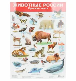 Животные список книг