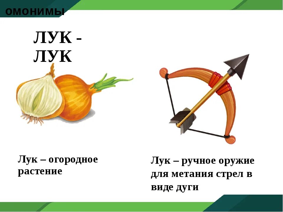Луки значения слова. Лук омонимы. Лук и луг это омонимы. Лук и лук омонимы. Лук омонимы примеры.