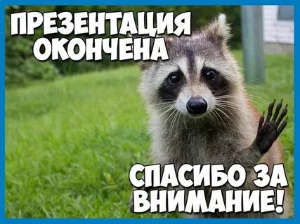 Конец животный