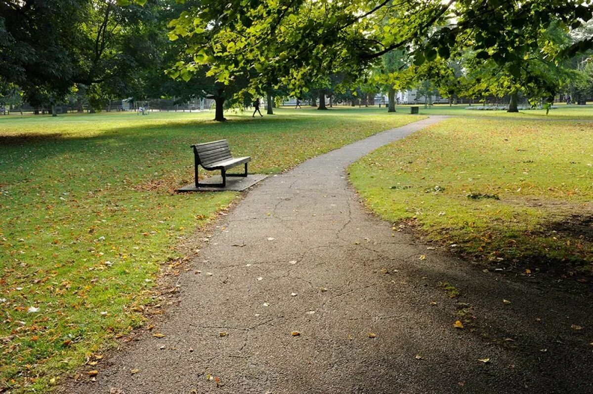 Парк сочи дендрарий прогулочная аллея. Экотропа королевский бор. Лесопарк измайлово велодорожки. Велодорожки в парке москвы. Дорожка через парк.