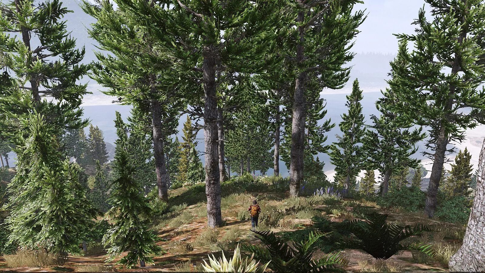 Гора чилиад в гта. Горы гта. Лос анджелес гора чилиад. Гта 5 горы. Gta 5 mount chiliad.