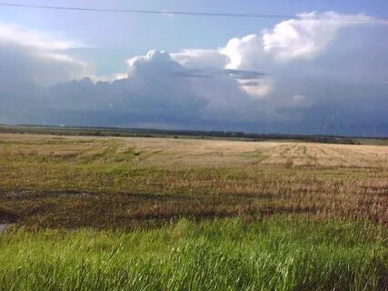 Притобольное курганская область