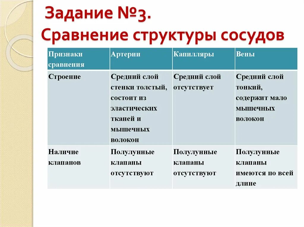 Строение сосудов таблица. Сходства строения артерий и вен. Сравнение строения вен и артерий. Таблица различие в строении артерий и вен.